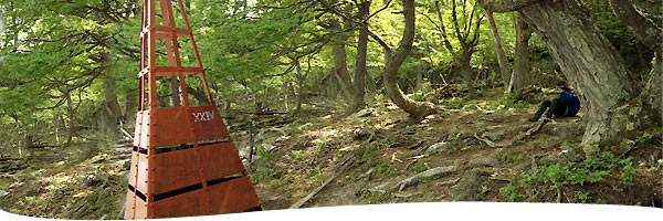 International Passes: Pérez Rosales - Santiago Gaudio International Passes: Pérez Rosales - Santiago Gaudio