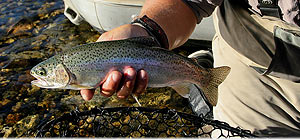 Pesca deportiva Pesca deportiva