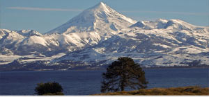 Área Lanín Área Lanín