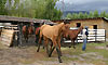 Guardas Ambientales Guardas Ambientales