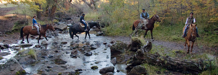 Alquileres de Caballos - Santiago Gaudio Alquileres de Caballos - Santiago Gaudio