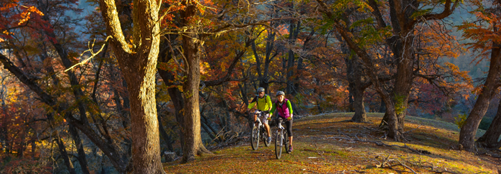 Bicicleta de montaña - Efrain Dávila Bicicleta de montaña - Efrain Dávila