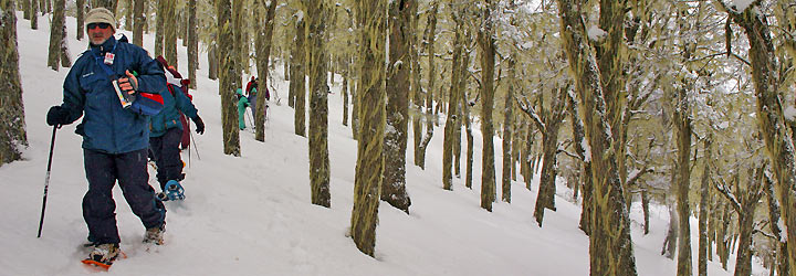 Caminatas con raquetas de nieve - Santiago Gaudio Caminatas con raquetas de nieve - Santiago Gaudio