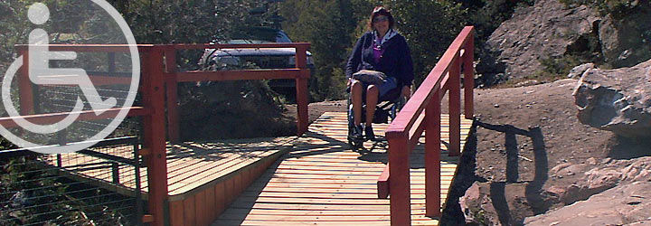 Paseos en la naturaleza - Cristina Lazos Paseos en la naturaleza - Cristina Lazos