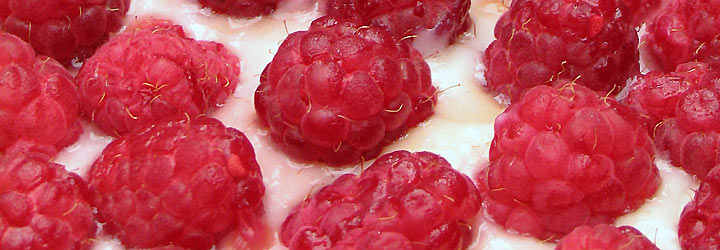 Pastelerías - Santiago Gaudio Pastelerías - Santiago Gaudio
