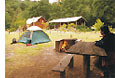 Camping organizado Camping organizado