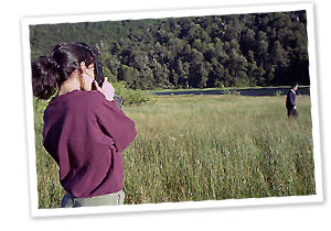 Paseos y naturaleza Paseos y naturaleza